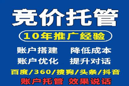 行业专家解析SEM代运营成功案例